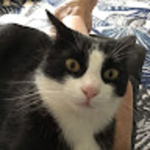 Meet your Posher, Paula